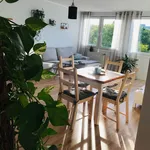 Rent 1 bedroom apartment of 50 m² in Aachen