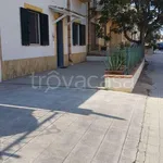 Rent 3 bedroom apartment of 80 m² in Trapani