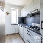 Rent 3 bedroom apartment of 65 m² in Vejprnice