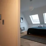 Rent a room of 183 m² in berlin