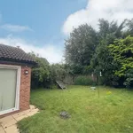 Rent 3 bedroom house in Basingstoke and Deane