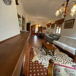 Rent 5 bedroom apartment of 125 m² in Capannori