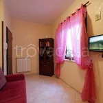 Rent 2 bedroom apartment of 60 m² in Trapani