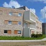 Rent 2 bedroom apartment in Zedelgem