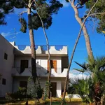 Rent 4 bedroom house of 70 m² in Castellaneta