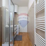 Rent 2 bedroom apartment of 70 m² in Torino