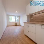 Rent 2 bedroom apartment of 48 m² in Capital City of Prague