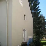 Rent 3 bedroom apartment of 66 m² in Witten