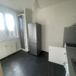 Rent 1 bedroom apartment of 45 m² in Ostrava