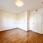 Rent 3 bedroom apartment of 73 m² in Praha