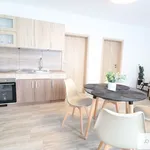 Pronájem bytu 2+kk 45m²