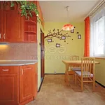 Rent 2 bedroom apartment of 61 m² in Žlutice