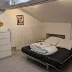 Rent 1 bedroom apartment of 25 m² in Grenoble