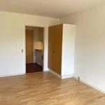 Rent 1 bedroom apartment of 42 m² in Vissenbjerg