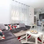 Rent 3 bedroom apartment of 92 m² in Torino