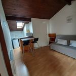 Rent 1 bedroom apartment of 19 m² in albi