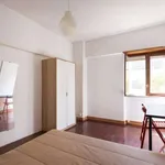 Rent a room in lisbon