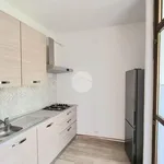 Rent 3 bedroom apartment of 85 m² in Busto Arsizio