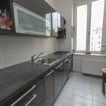 Rent 3 bedroom apartment in Praha 3