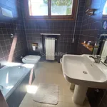 Rent 2 bedroom apartment of 71 m² in rimini