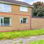 Rent 1 bedroom apartment in Bangor