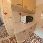 Rent a room in padua