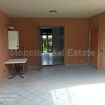 Affitto 5 camera casa di 320 m² in Caserta