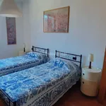 Rent 3 bedroom apartment of 75 m² in Siena