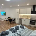 Rent 1 bedroom apartment in Zlín