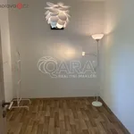 Rent 2 bedroom apartment of 38 m² in Trhový Štěpánov