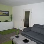 Rent 1 bedroom apartment of 54 m² in Dresden