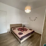 Rent 2 bedroom apartment of 45 m² in Nettuno