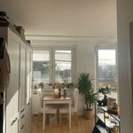 Rent 1 bedroom apartment of 29 m² in Dresden