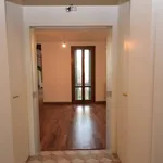 Rent 5 bedroom apartment of 100 m² in Padua