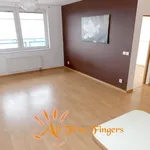 Rent 2 bedroom apartment of 43 m² in Capital City of Prague