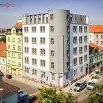 Rent 2 bedroom apartment of 44 m² in Plzeň