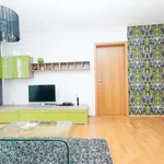 Rent 2 bedroom apartment of 58 m² in Prague