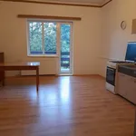 Rent 3 bedroom house in Mělník