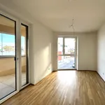 Rent 2 bedroom apartment of 50 m² in Graz