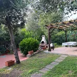 Rent 5 bedroom apartment of 121 m² in Castiglione della Pescaia