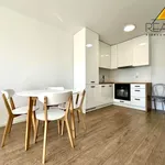 Rent 2 bedroom apartment of 35 m² in Leszno