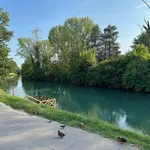 Rent 3 bedroom apartment of 100 m² in Treviso