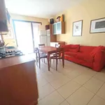 Rent 2 bedroom apartment of 51 m² in Savigliano