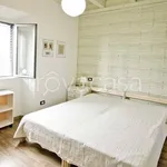 Rent 2 bedroom apartment of 45 m² in Milano