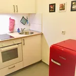 Rent 1 bedroom apartment of 35 m² in Dusseldorf