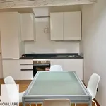 Rent 1 bedroom apartment of 45 m² in Mantua