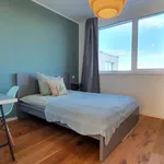 Rent a room in berlin