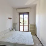 Rent 2 bedroom apartment of 54 m² in Verona