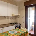 Rent 1 bedroom apartment in Rome