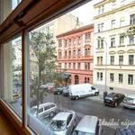 Rent 1 bedroom apartment of 33 m² in Capital City of Prague